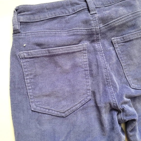 NWT Cosmic Blue Love Stitch Fix Corduroy Skinny Pants - Purple - 25P (Petite) - Picture 6 of 7